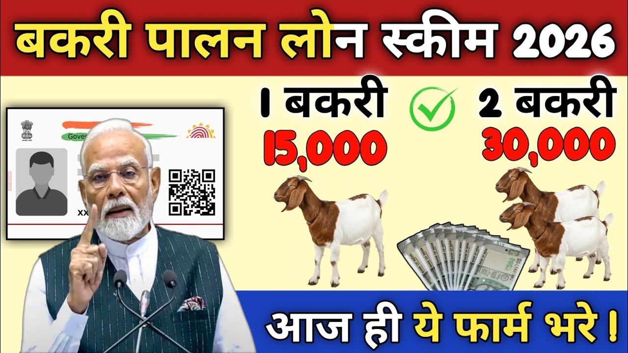बिना गारंटी ₹3 लाख तक लोन! 🐐 20 बकरी से सालाना ₹2 लाख मुनाफा | बकरी पालन लोन और सब्सिडी पूरी जानकारी