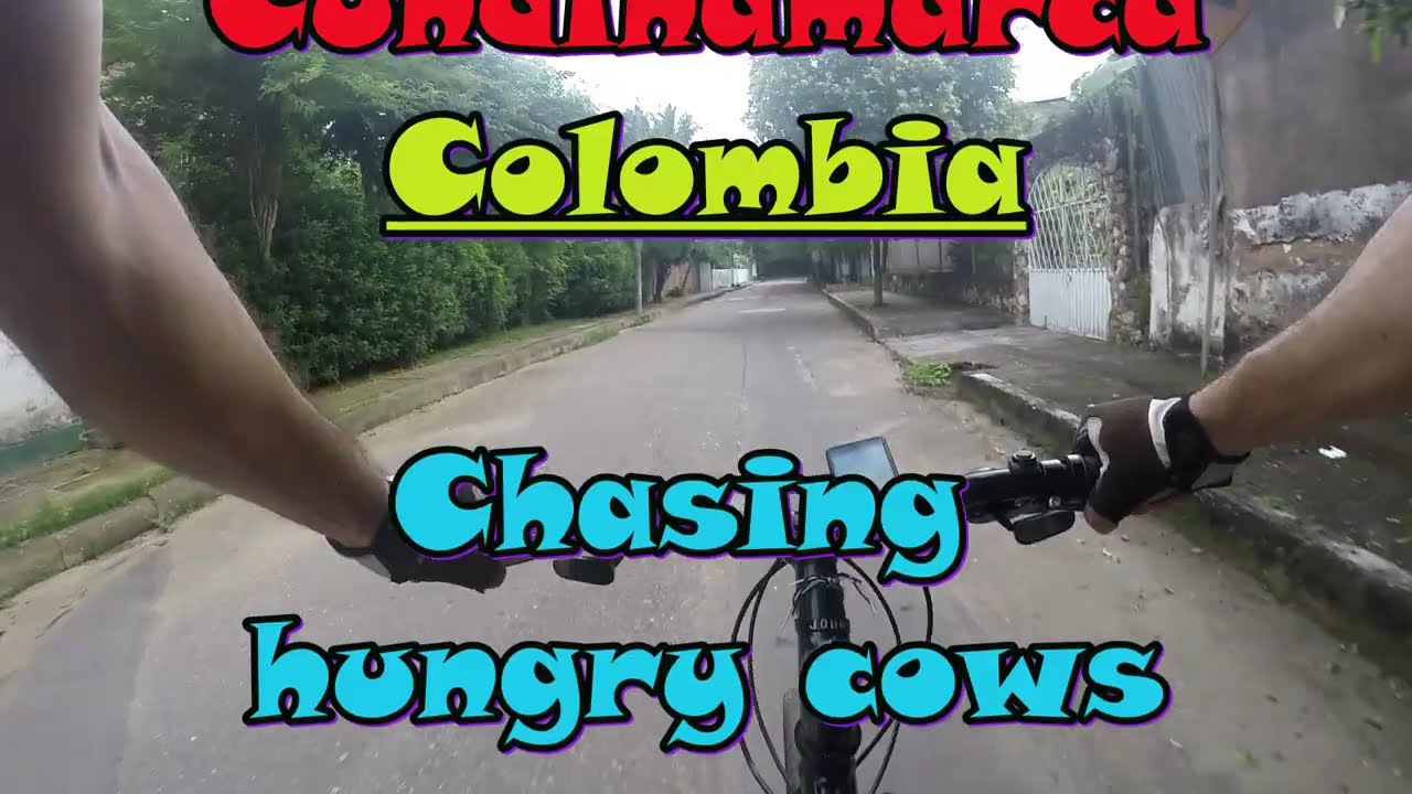 The Tour of Nilo, Colombia - 2026. Until shots, dogs or cows interfere
