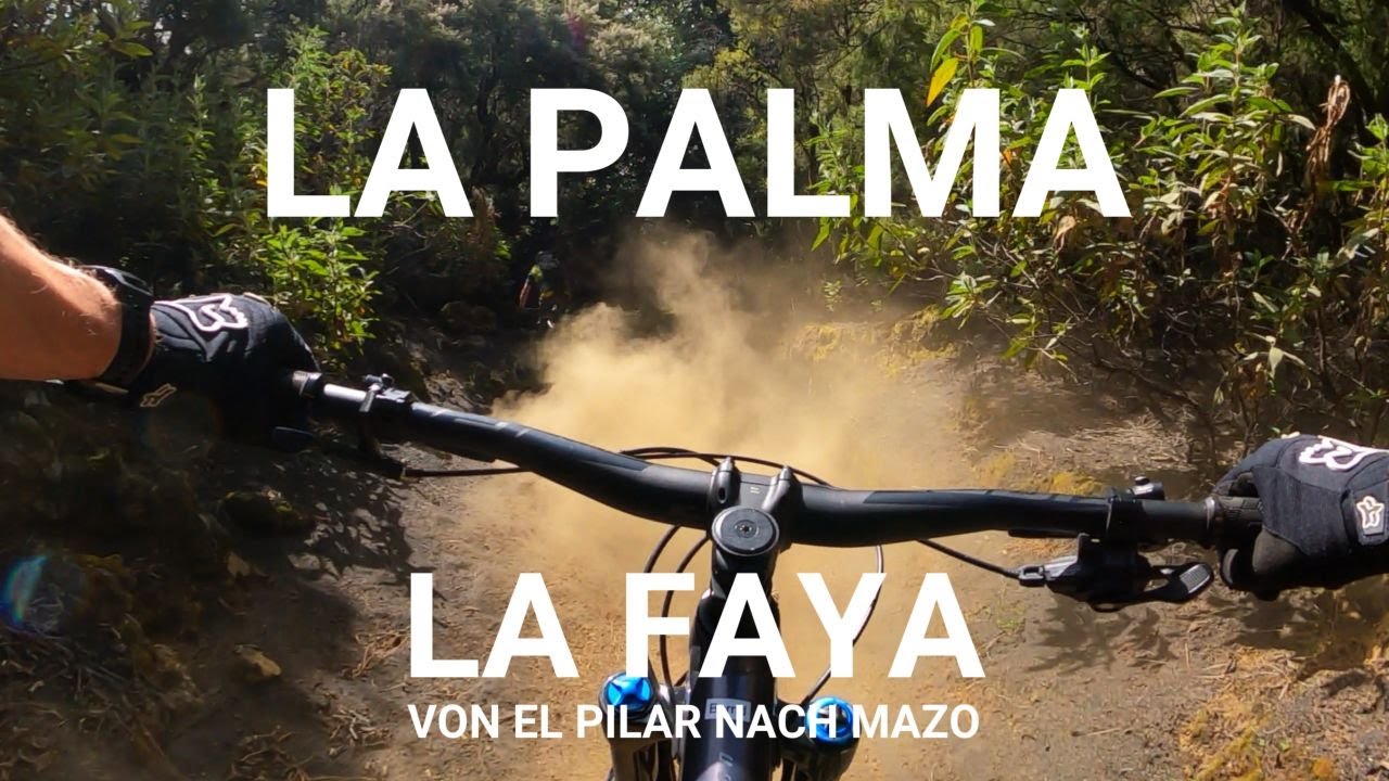 LA PALMA - LA FAYA TRAIL - DURCH DEN LORBEERDSCHUNGEL - AUF DEM LP17 VON EL PILAR NACH MAZO