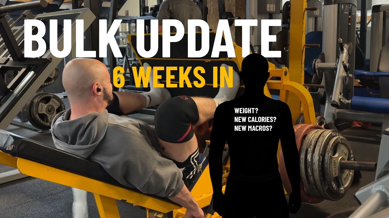 Lean Bulk update - 6 Weeks In