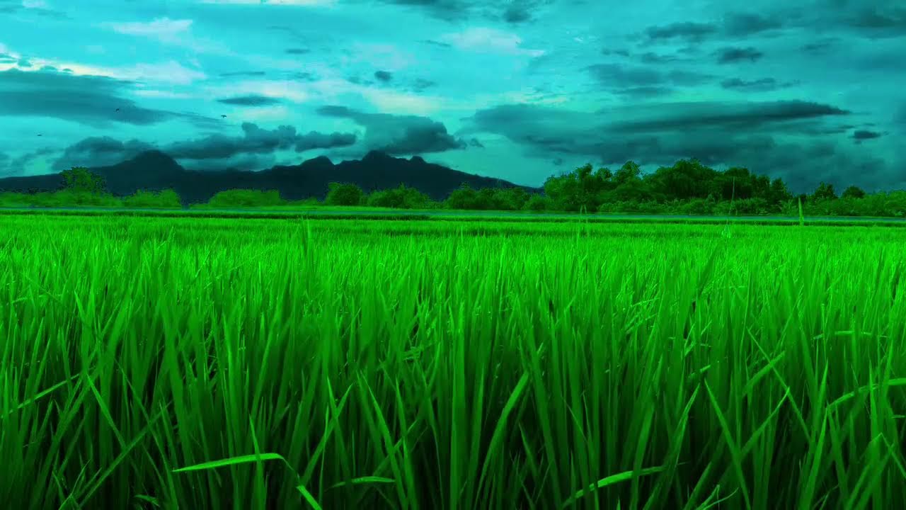Deep Sleep Ambient Piano 🌙 Soft Meditation Music | Peaceful Relaxation Loop
