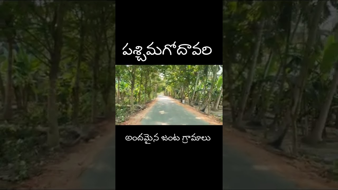 Vedangi & Vedangipalem Queen Beautiful Villeges In West Godavari