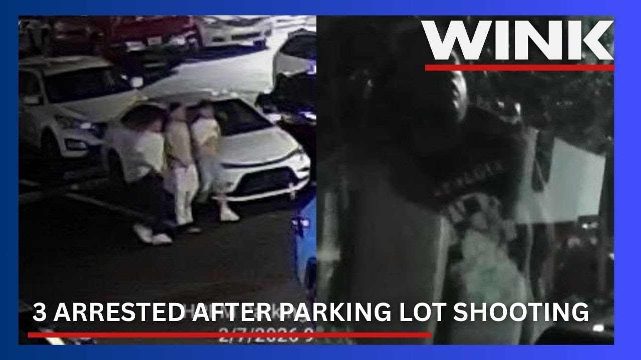'They had Beef': 3 arrested in connection to shooting near Headpinz in Lee County