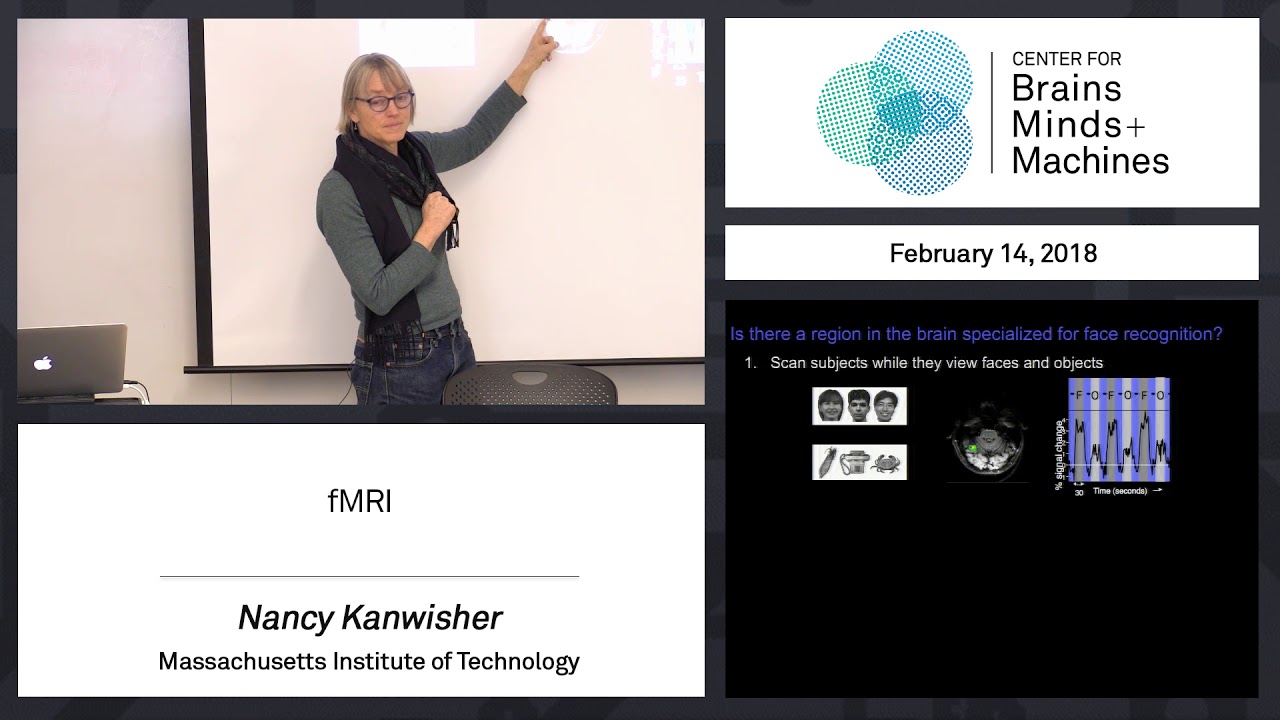 2.11 - fMRI