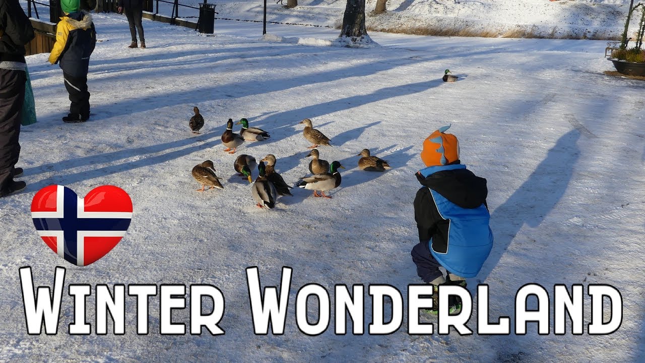 WINTER WONDERLAND in Old Town, Fredrikstad - Norway.