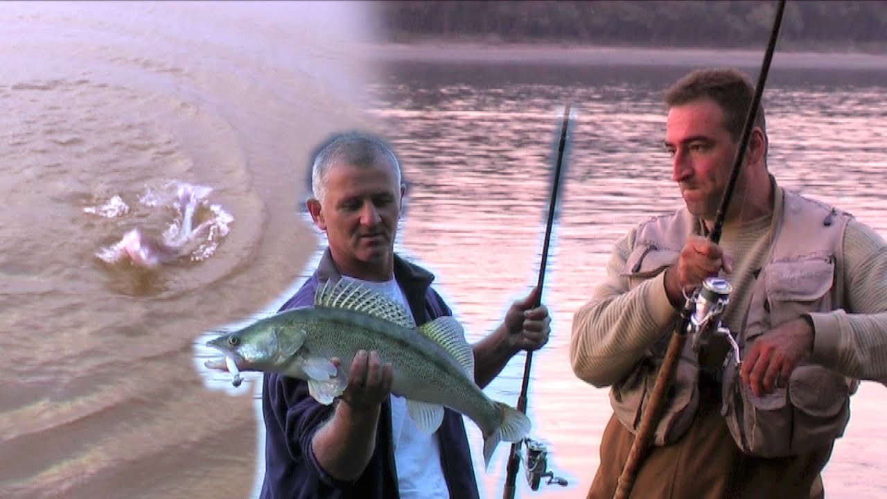 Varaličarenje smuđa - Dunav kod Apatina | Fishing on Danube