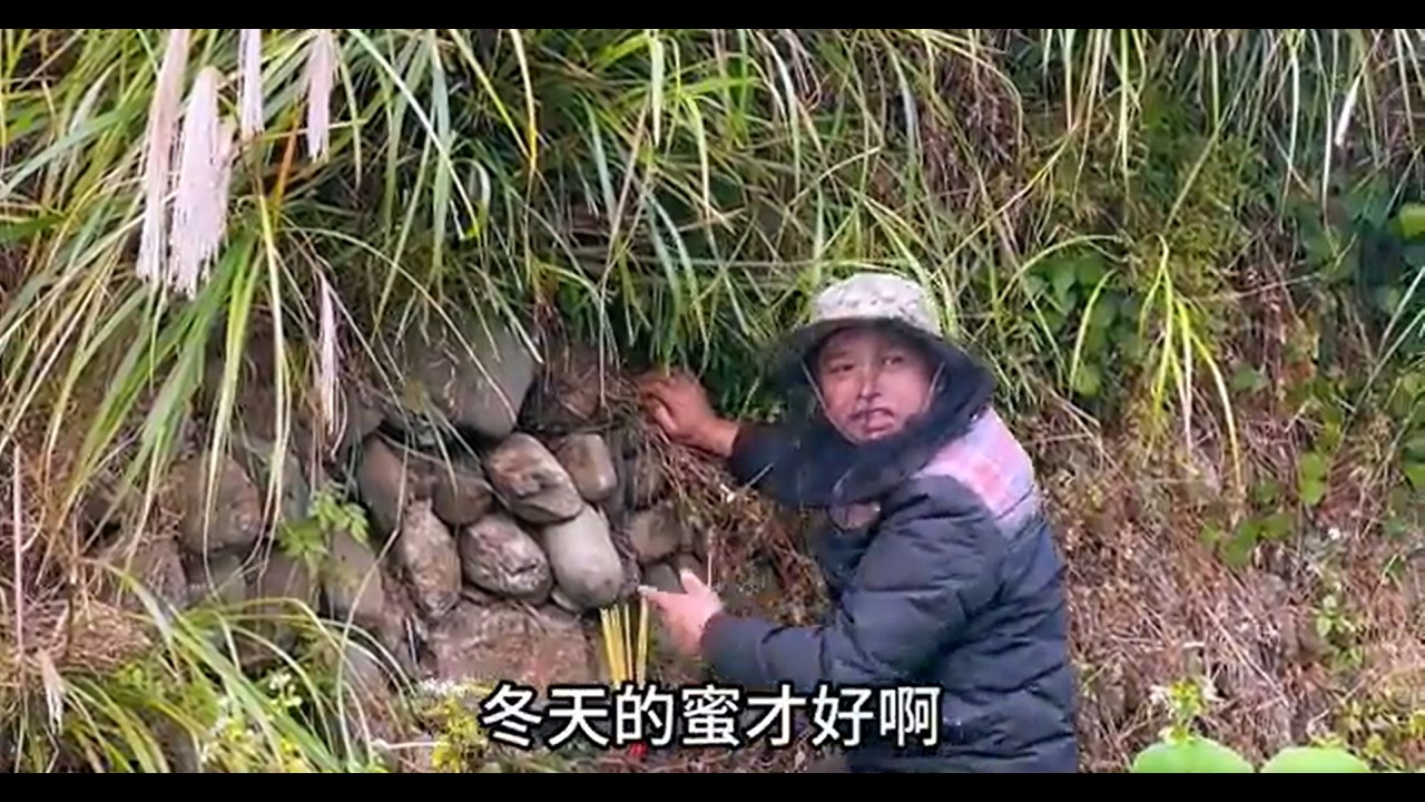 秋子跟着表哥去掏土蜂蜜，带上小七他也很开心，结果他被蜂蜜亲了一下，哭的很伤心