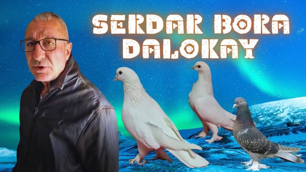 Şamiyonlukları Olan Alan Herkesi Menmun Bırakan Büyük Kuşlar Kaçırmayın Bunları.