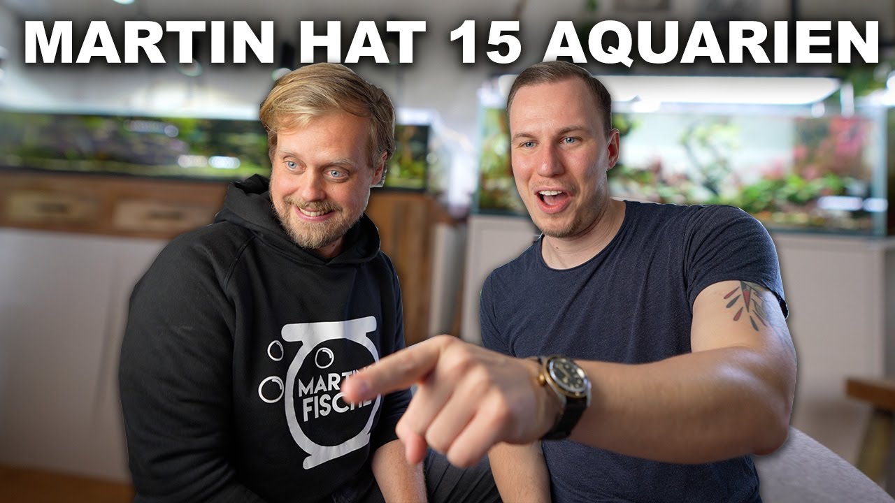 Wo sind alle Aquarien von @Martins Fische ? - Meine Roomtour XXL
