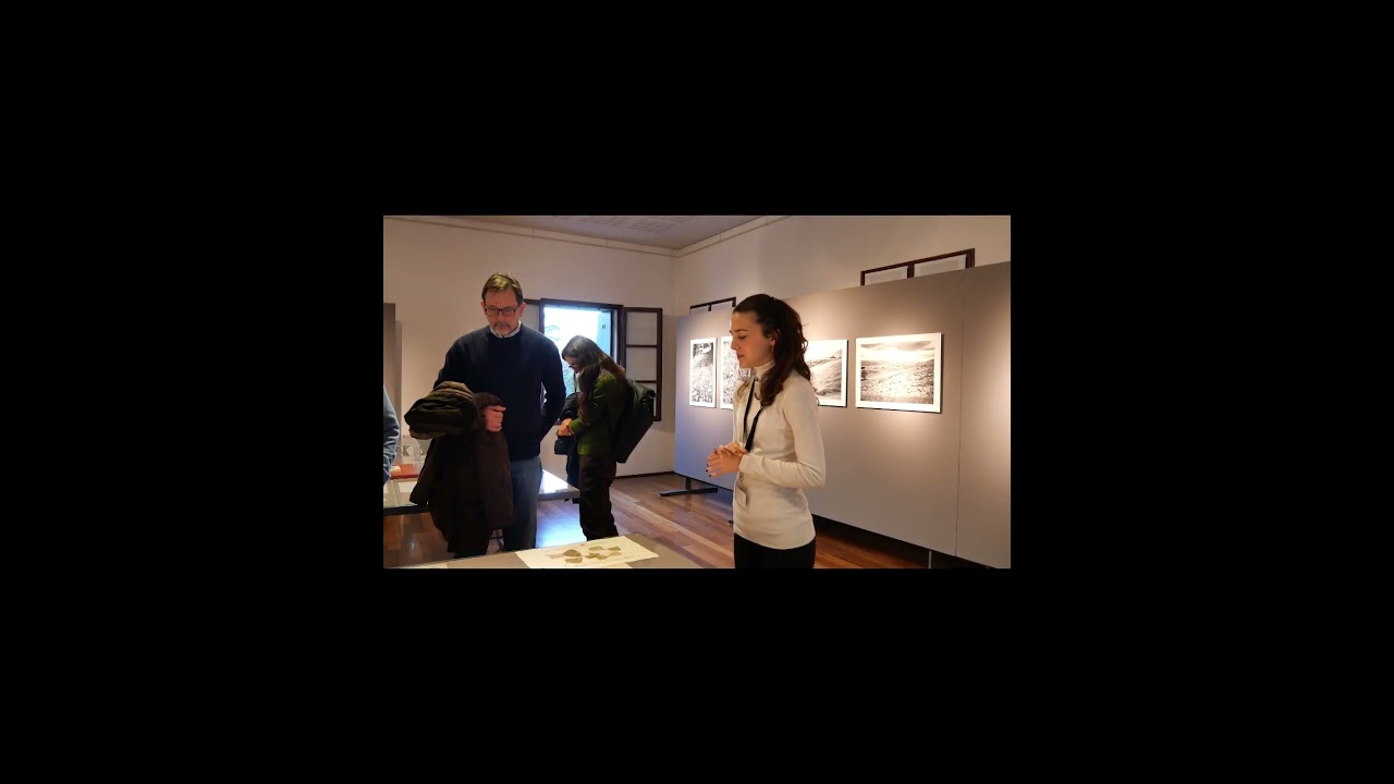 Narrare il museo - 4CL