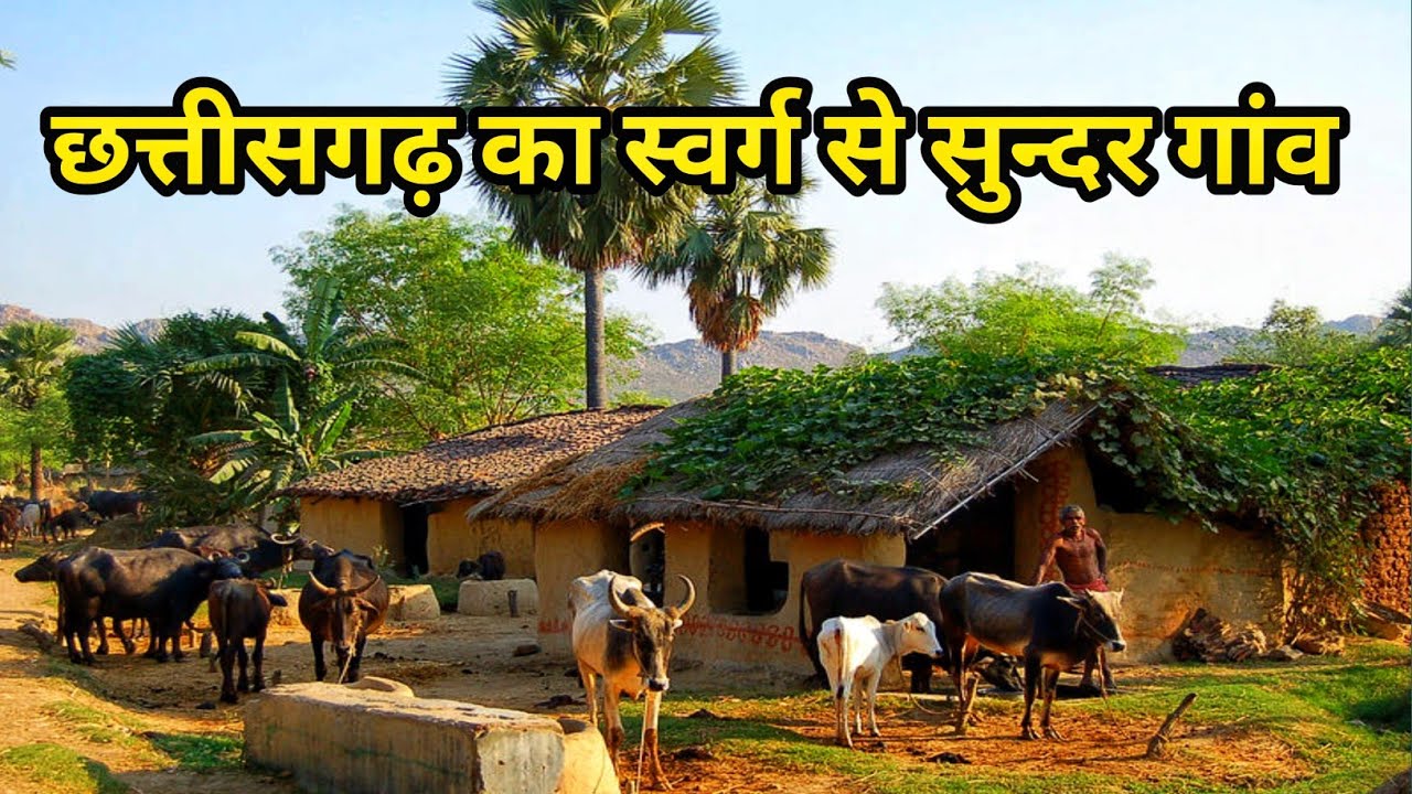 छत्तीसगढ़ का यह गांव स्वर्ग  से सुन्दर है /Village life korba Chhattisgarh / peaceful life village/