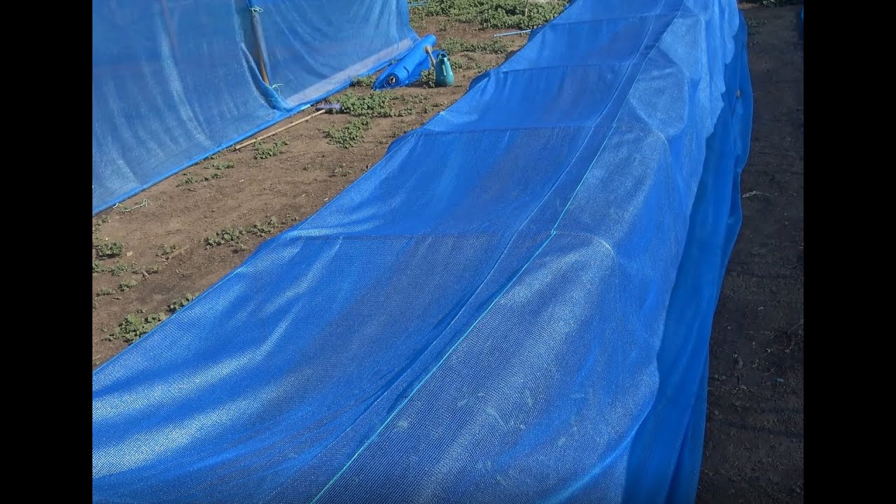Invernadero microtunel. Muy f&aacute;cil de hacer. #agriculturaorganica #huerto #autoabastecimiento