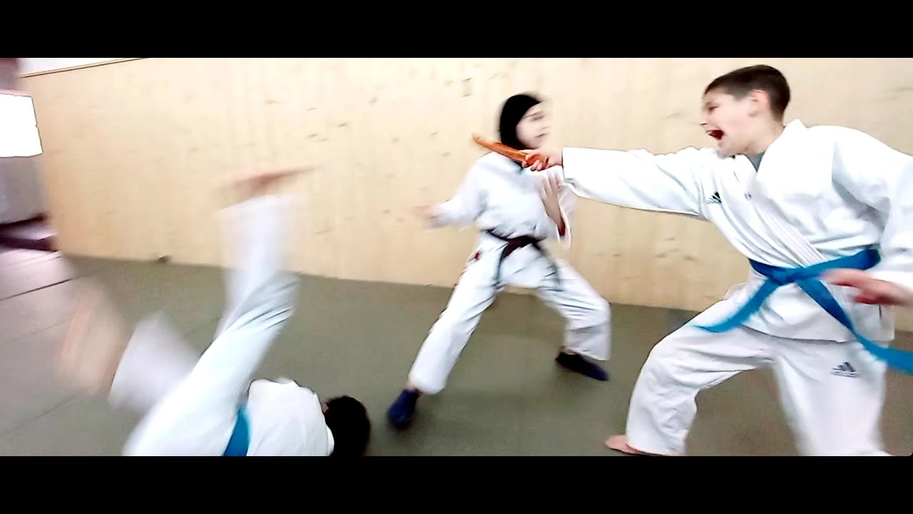 aikido senia 17