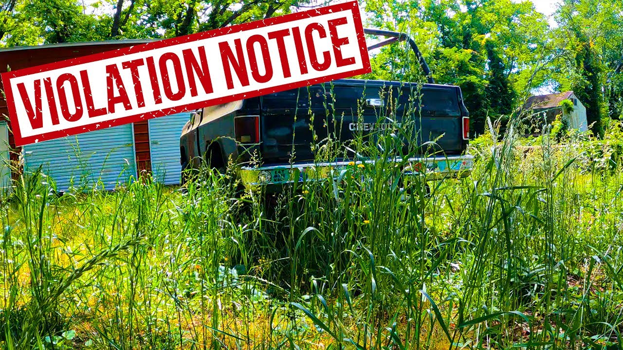 ABANDONED Property CLEAN UP - Overgrown YARD Transformation