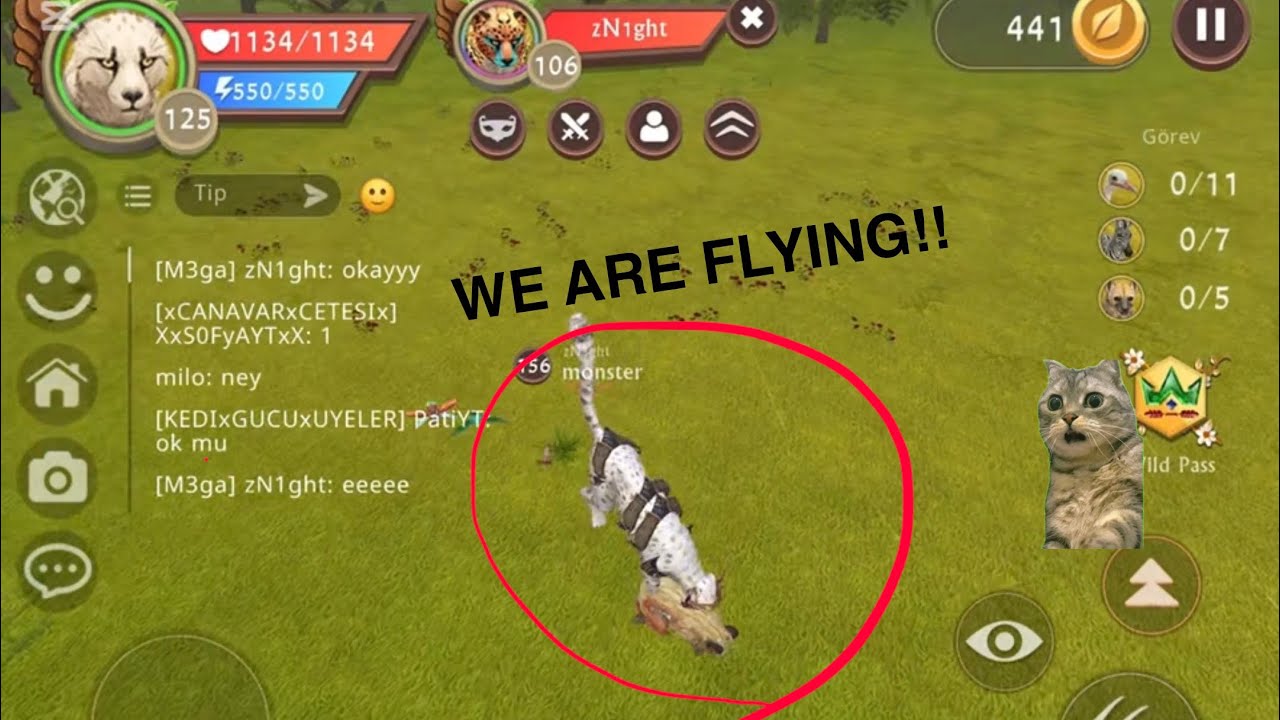 In Wildcraft, we're learning how to fly in multiplayer mode! (I'm showing everything I know)