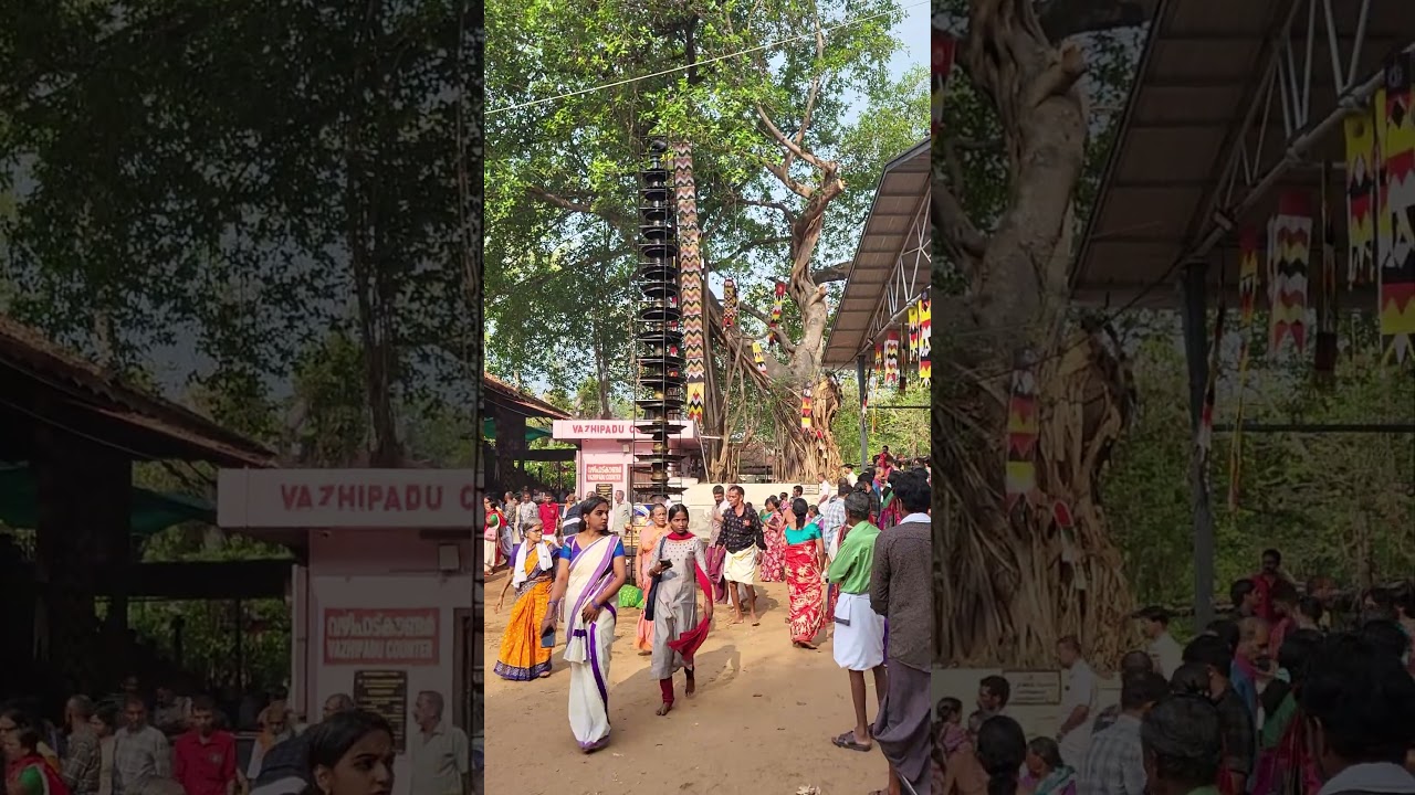 Kodungallur Bharani Festival 2026 | Kerala Temple Energy 🔥