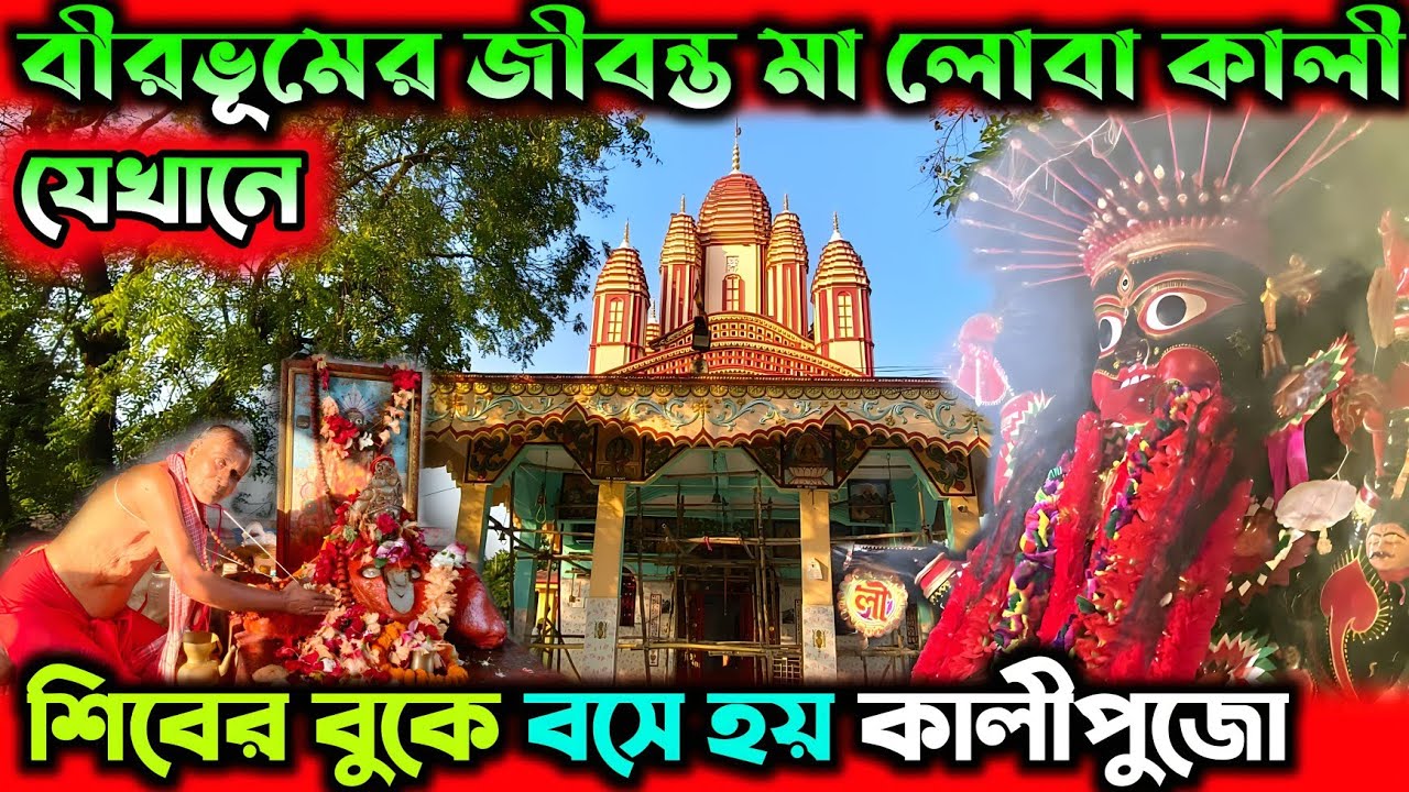 লোবা কালী পূজা 2025 | Loba kali puja 2025 |#kalipuja2025 #lobakali 