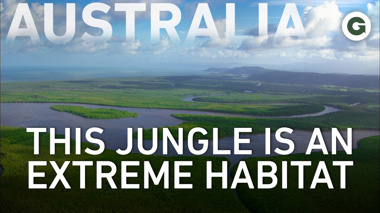 A Jurassic Jungle: Australia’s Rarest Living Dinosaurs | Full Documentary