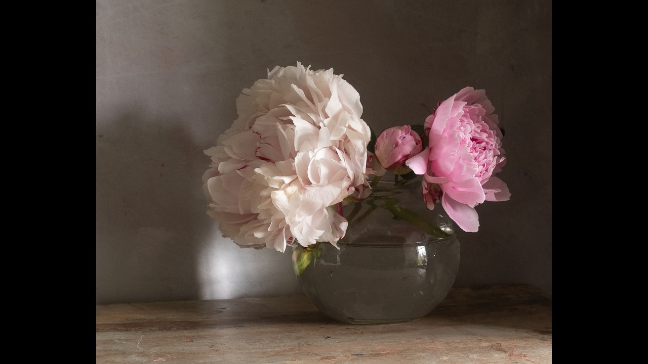 Painting Peonies in Oils - Live Alla Prima Oil Painting Session