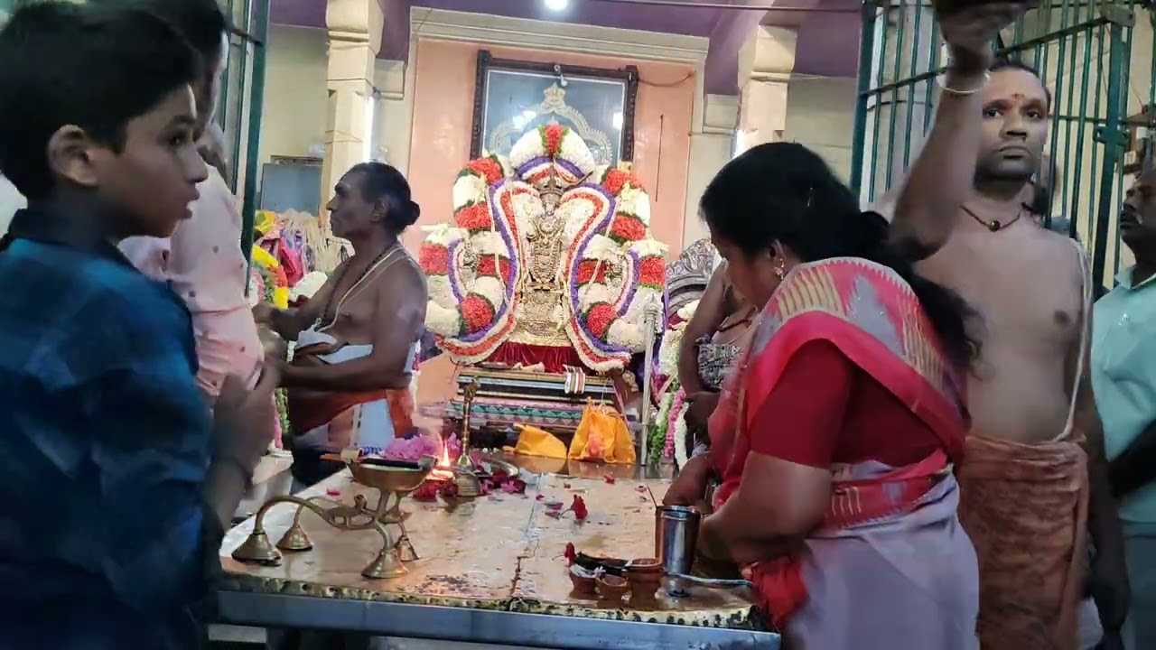 Saidapet Senguntakottam Sri Siva Subramanyaswamy Brahmotsavam 2026 Day 5 Velli Mayil Vahanam 