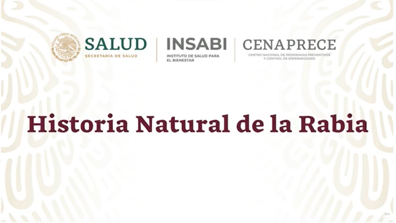 1. Historia natural de la Rabia