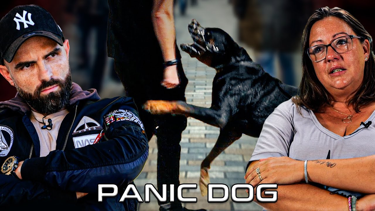 ROTTWEILER agressif ! 