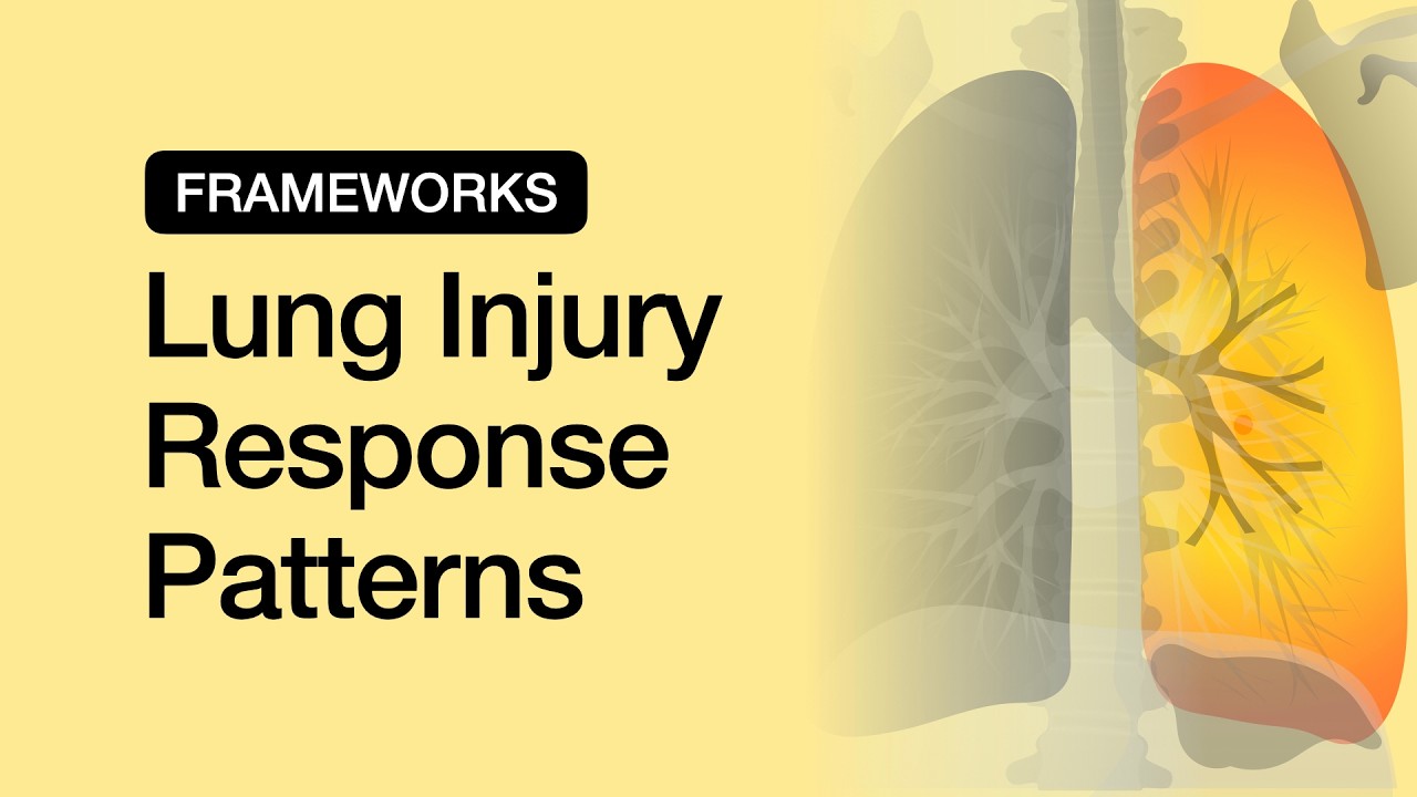 Lung Injury Response Patterns