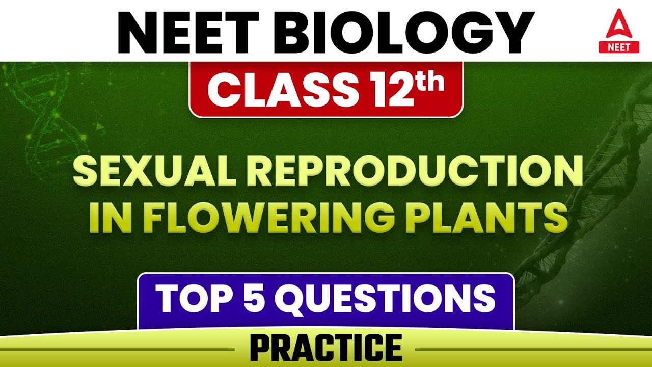 Sexual Reproduction in Flowering plants Top 5 Questions| Class 12 Biology | By Shipra ma'am
