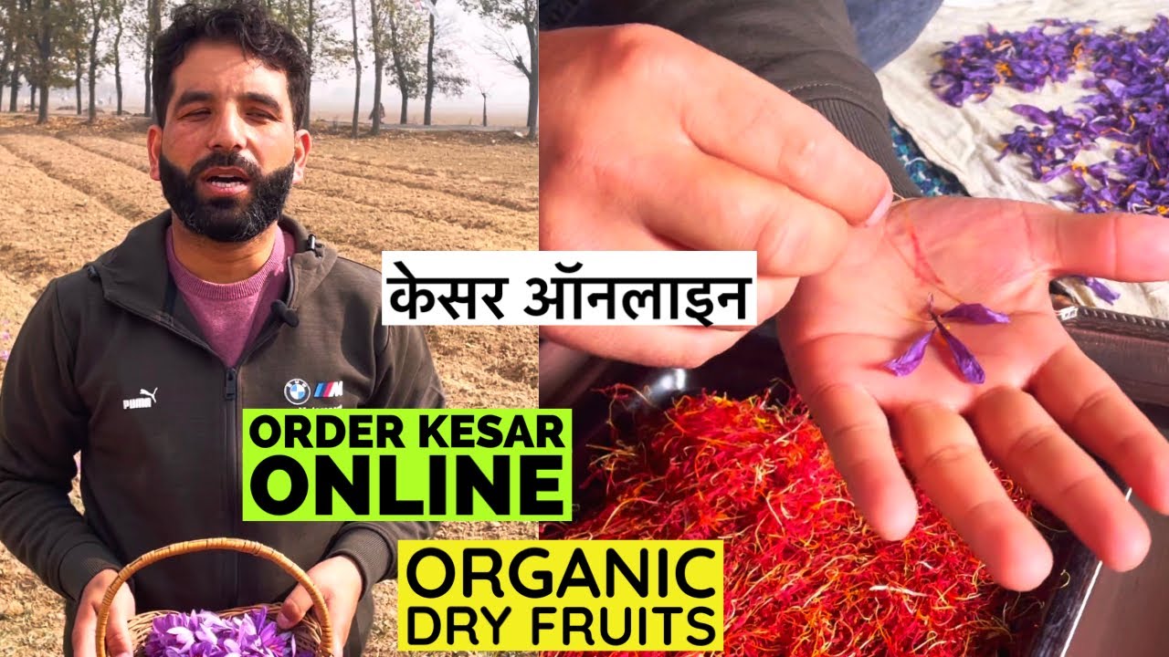 Buy Pure Kashmiri Kesar, Saffron Zaffran Online From Organic Dry Fruits, Kashmir.
