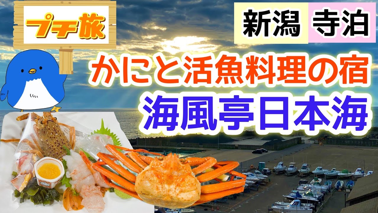 [新潟][寺泊][海鮮料理]魚のアメ横市場まで5分！コスパ最強！カニ・伊勢海老・アワビ！「かにと活魚料理の宿海風亭寺泊日本海」に宿泊したので詳細レビュー＆道の駅燕三条でお買い物♪