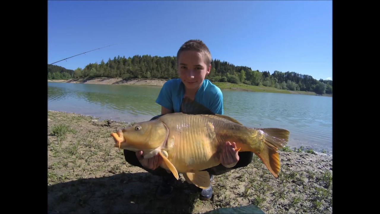 RDV avec les carpes : Mai 2018