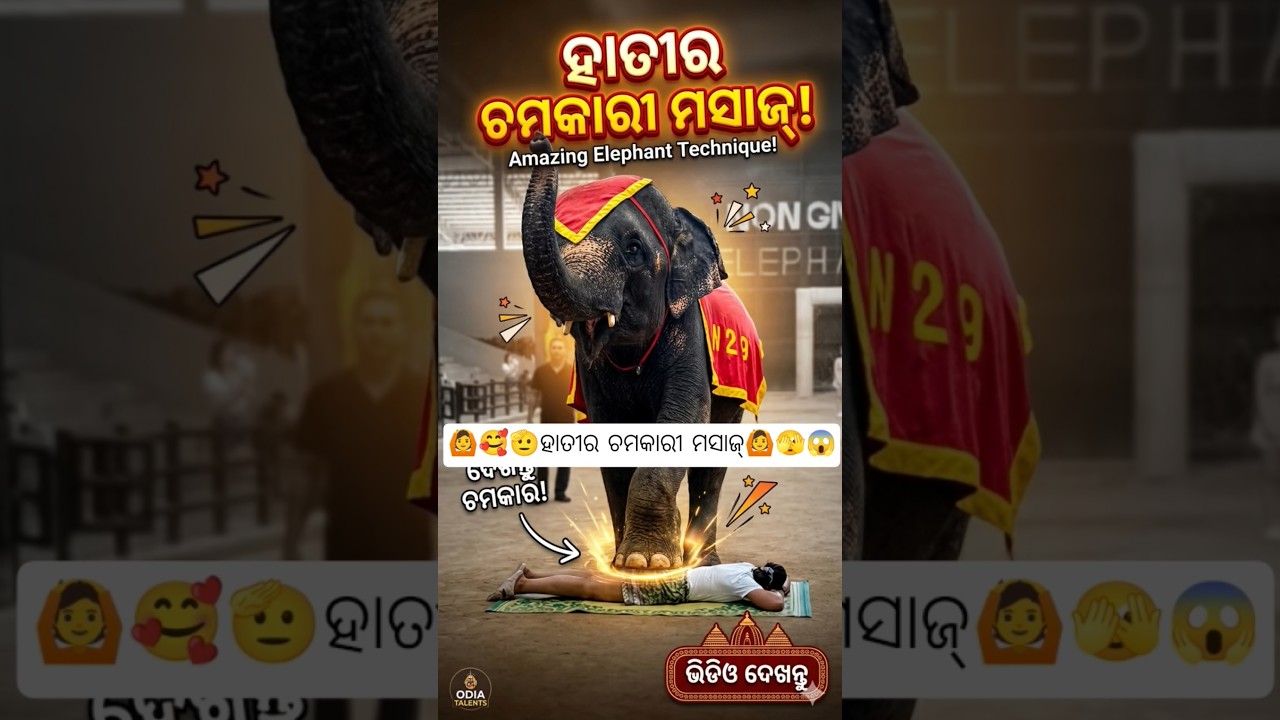 ହାତୀର ଚମକାରୀ ମସାଜ୍! 🫂🙆🫡🥰🫀💔 #youtubeshorts #odiasong #odishanews #lovesong