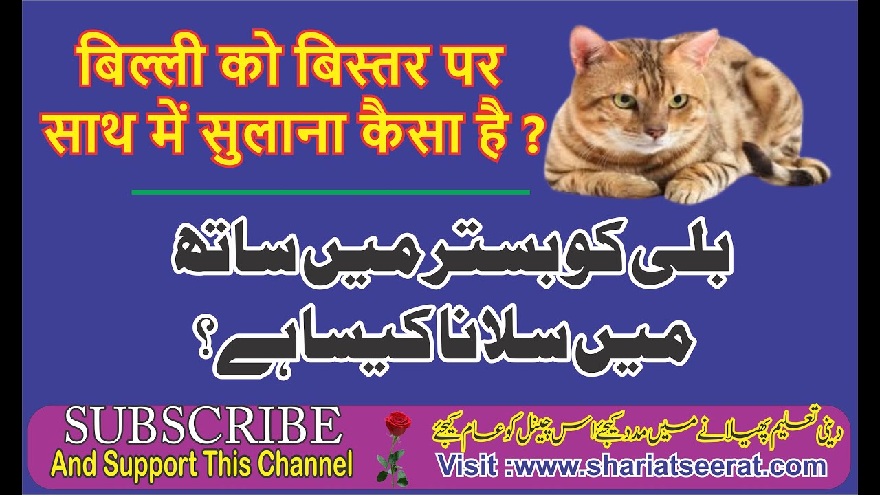 Billi Ko Saath Sulana Kaisa Hai? ¦¦ By.Hashimuddin Qadri