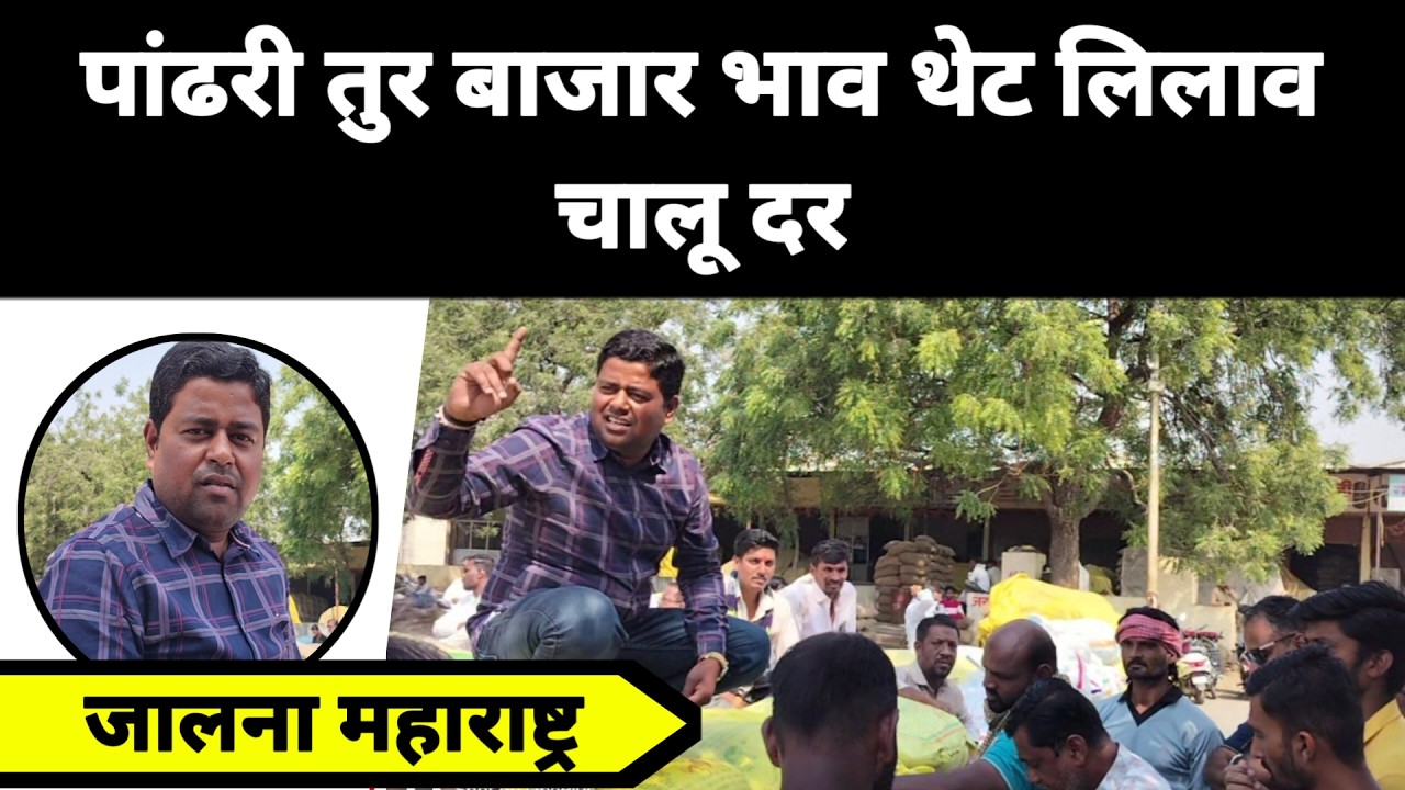 पांढरी तुर बाजार भाव थेट लिलाव चालू दर जालना महाराष्ट्र || पांढऱ्या तुरीला काय मिळतो भाव