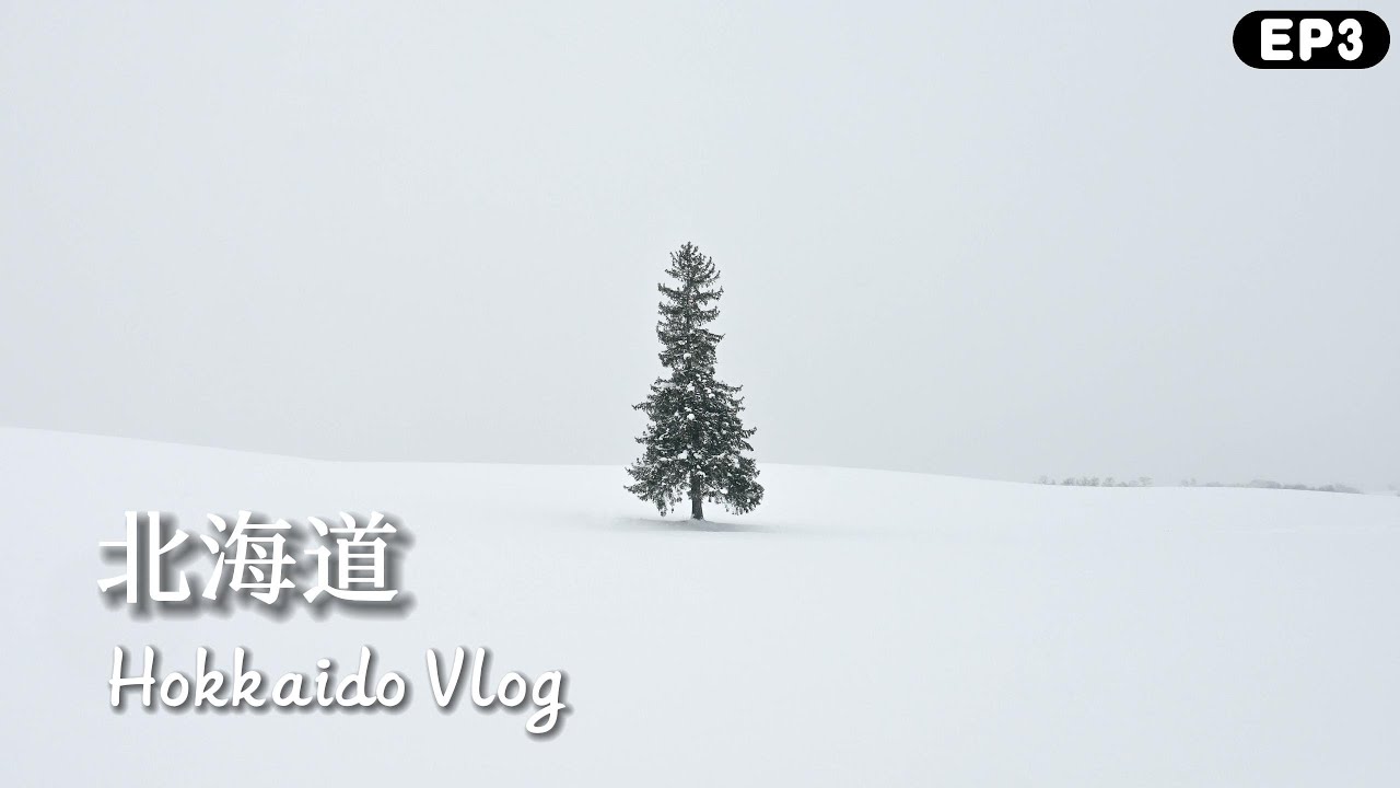 2023 十二月 自駕北海道 Ep3 美瑛、青池、白鬚瀑布、旭川動物園、大雪飯店
