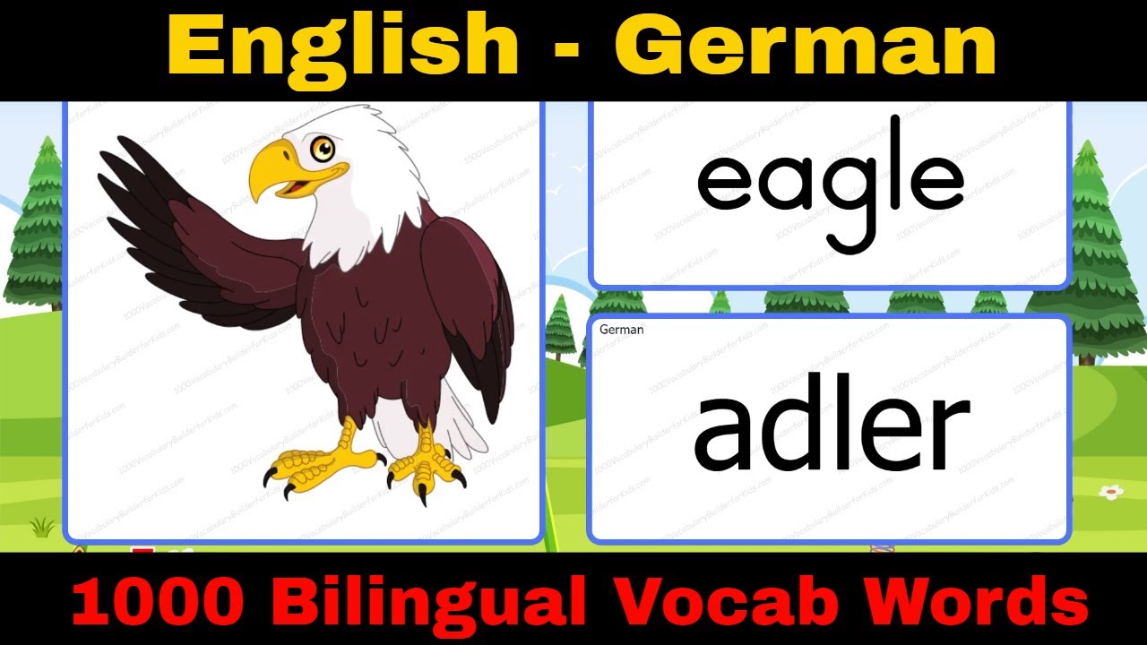 Deutsch Englisch Wortschatz Lernen mit Bildern : Learn Easy German English Vocabulary
