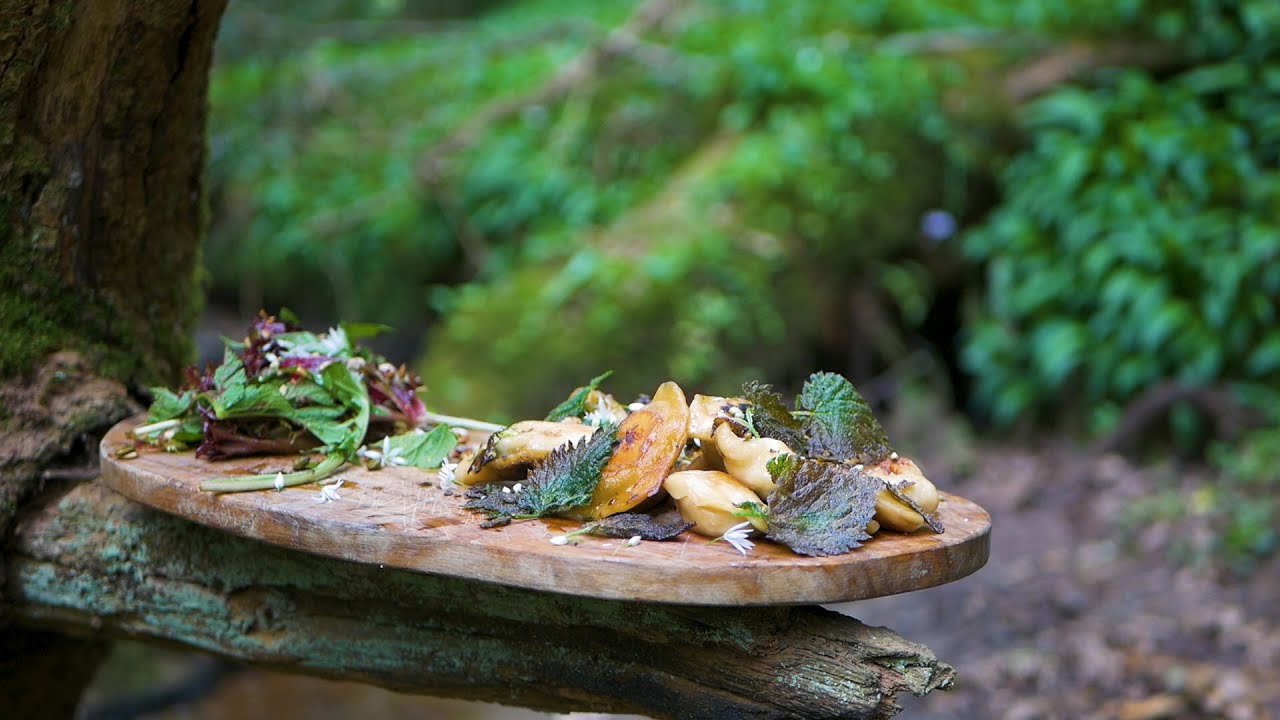 Spring foraging and cooking in the wild | Madog Outdoors