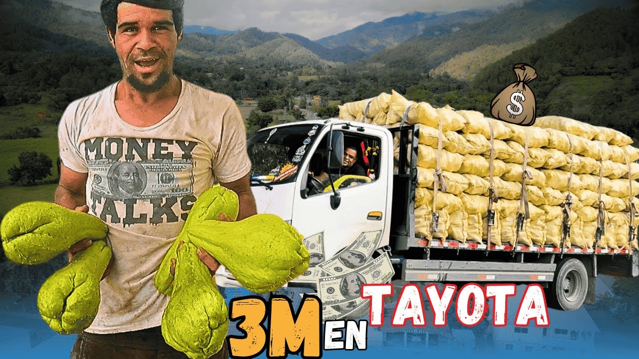 El Trabajo Que Genera Más Dinero En Mi Campo💰🤯