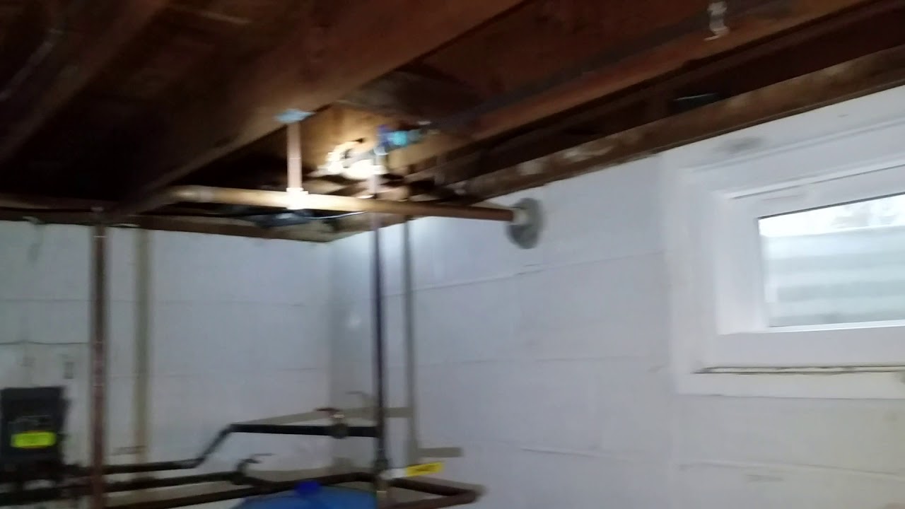 Basement and Crawlspace Mice Contamination Cleaning NJ 732 698 8387