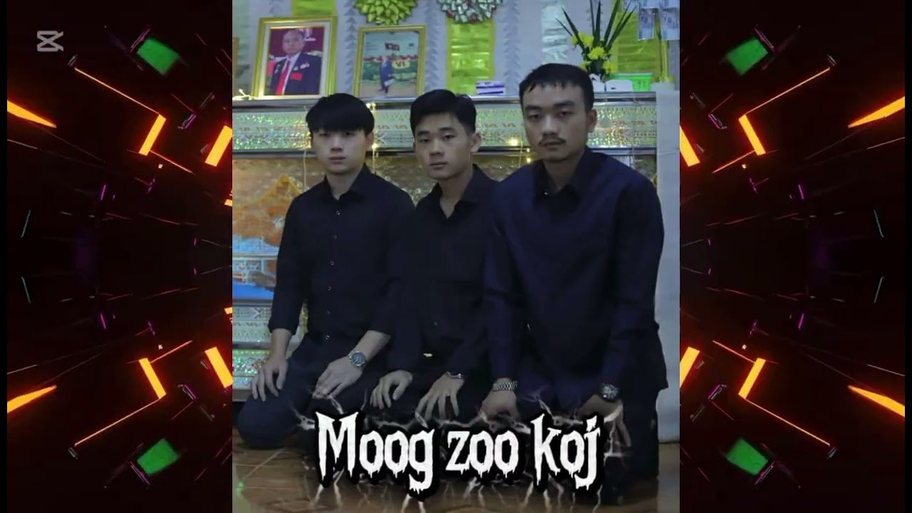 Moog zoo koj dj 
