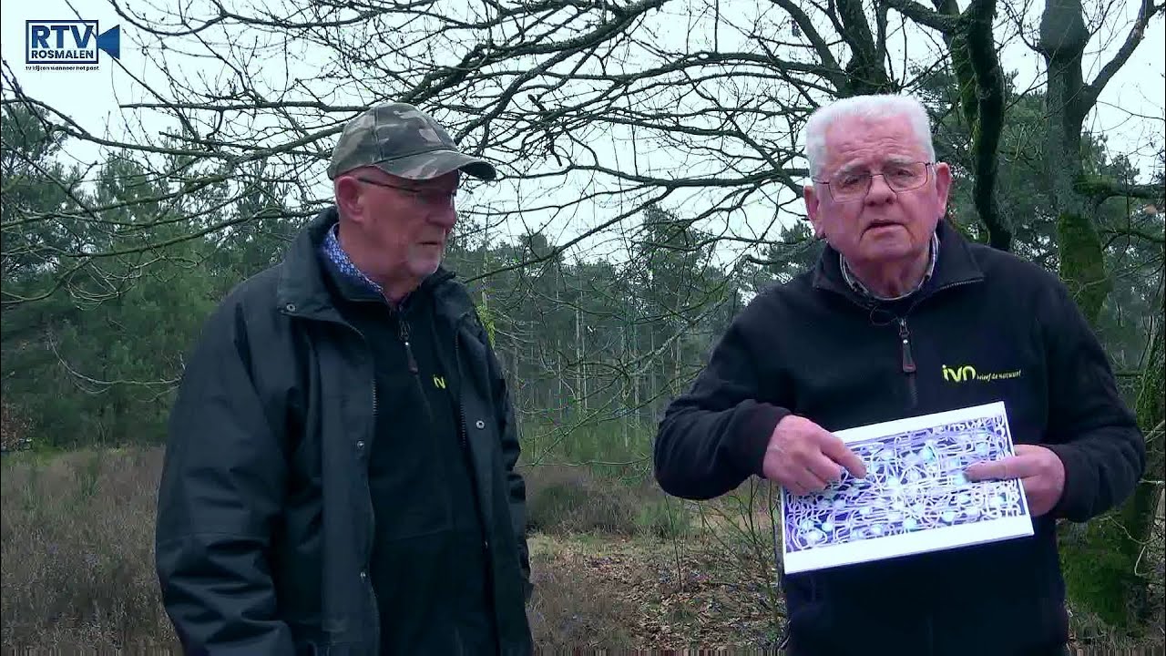 Korstmossen in het Karregat