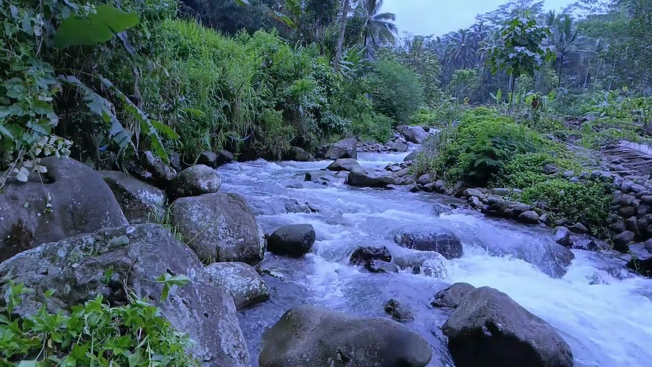 Soft Stream Symphony ASMR