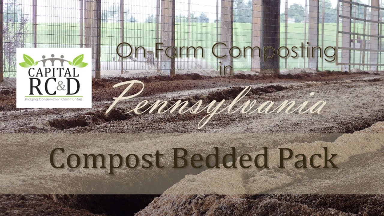 On-Farm Composting in Pennsylvania; Compost Bedded Pack