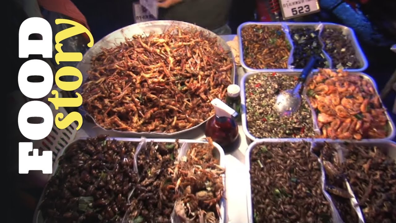 Bangkok, dans la peau d'un vendeur d'insectes ambulant
