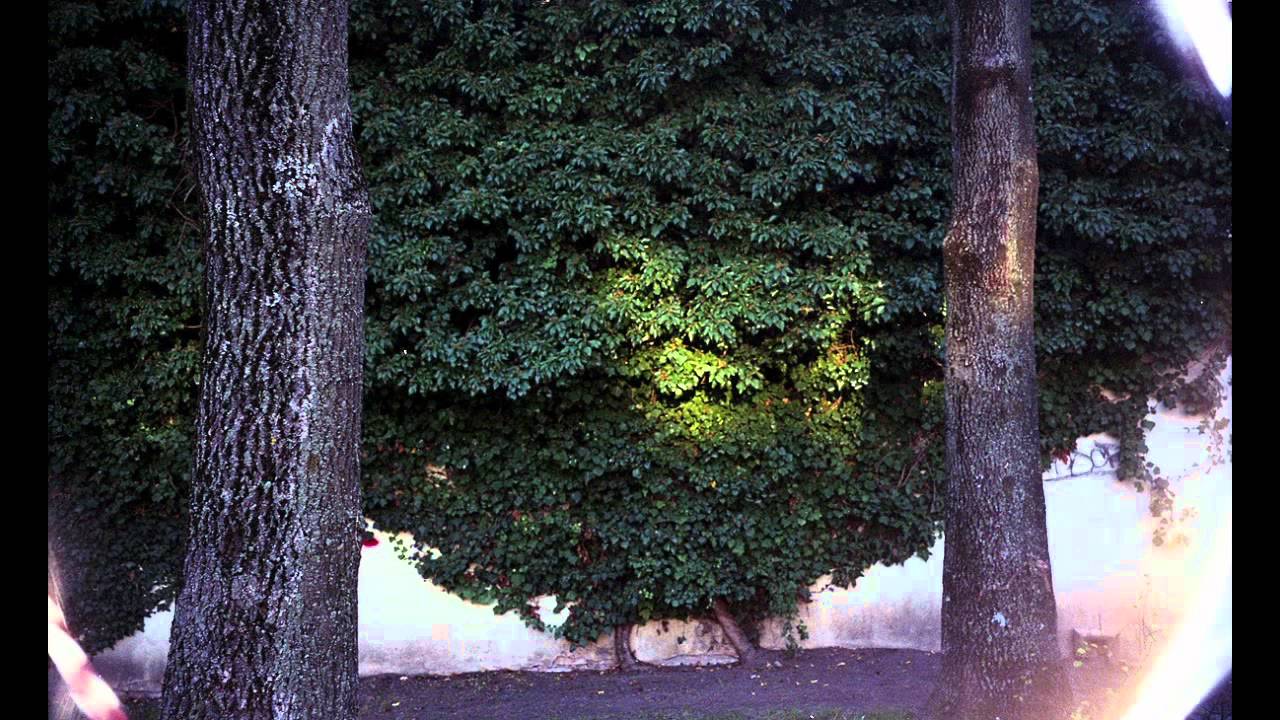 Hyggelig - I've Never Seen Before