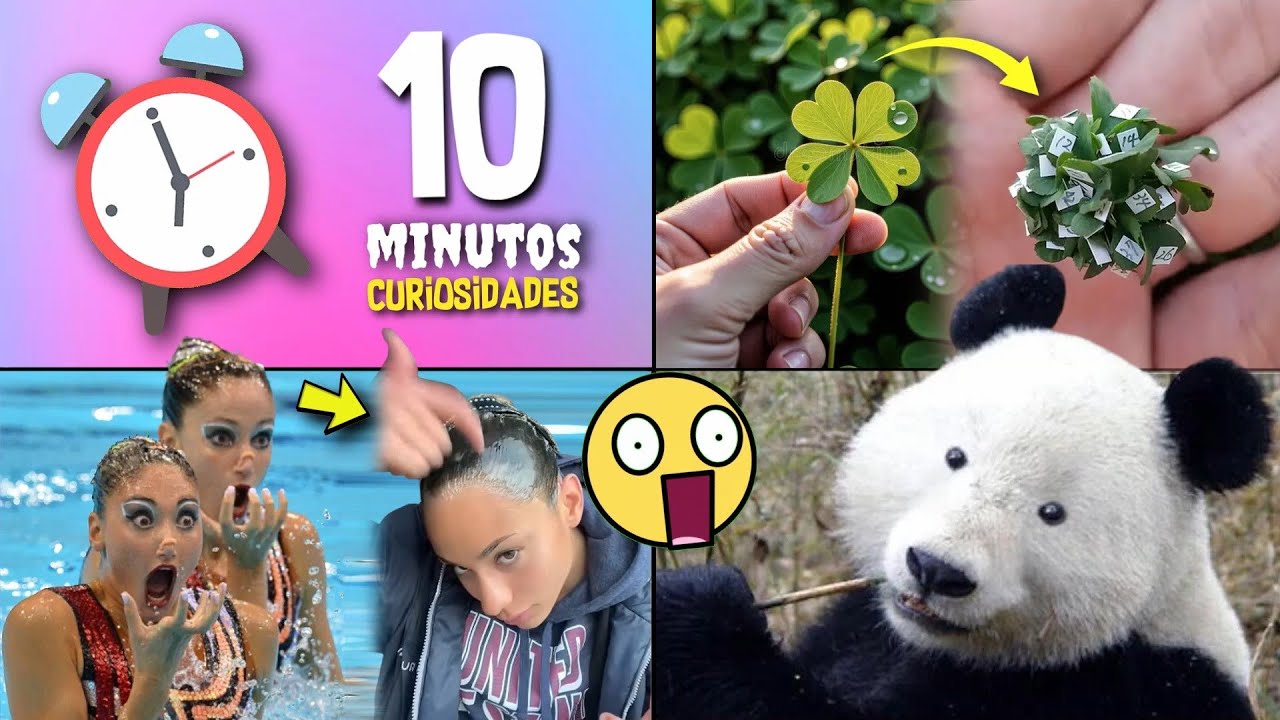 30 COISAS QUE VOCÊ NÃO SABIA EM 10 MINUTOS 🧠💥[244]