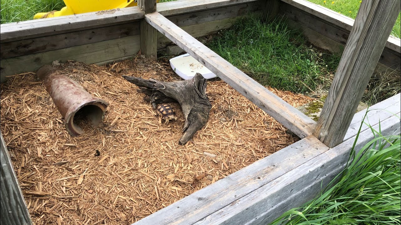 New Outdoor Sulcata Tortoise Enclosure