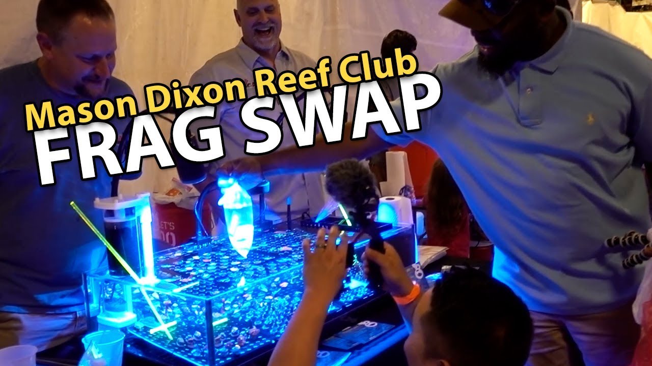 Shopping with Local Reefers!! (MDRC Frag Swap 2018)