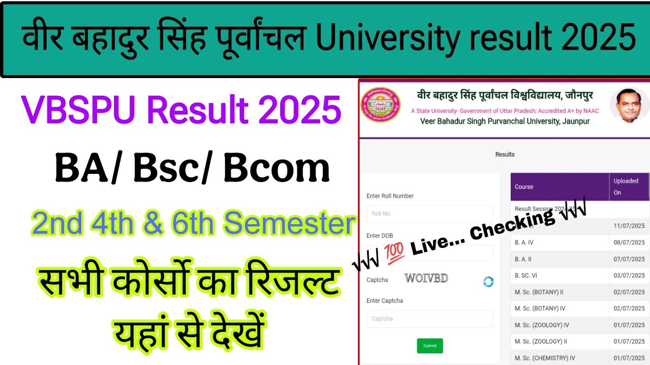 vbspu result 2025 kaise dekhe | how to check vbspu result 2025 | BA Bsc Bcom 2nd 4th 6th Semester 