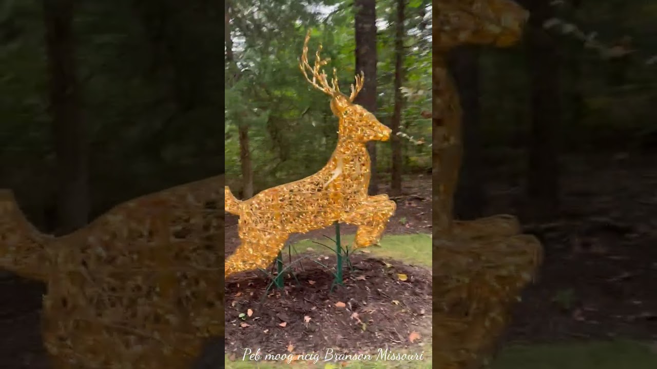 Peb moog ncig Branson Missouri 